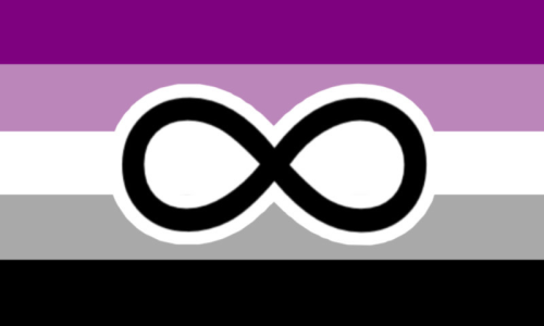 An ace flag with a black infinity sign in the middle.